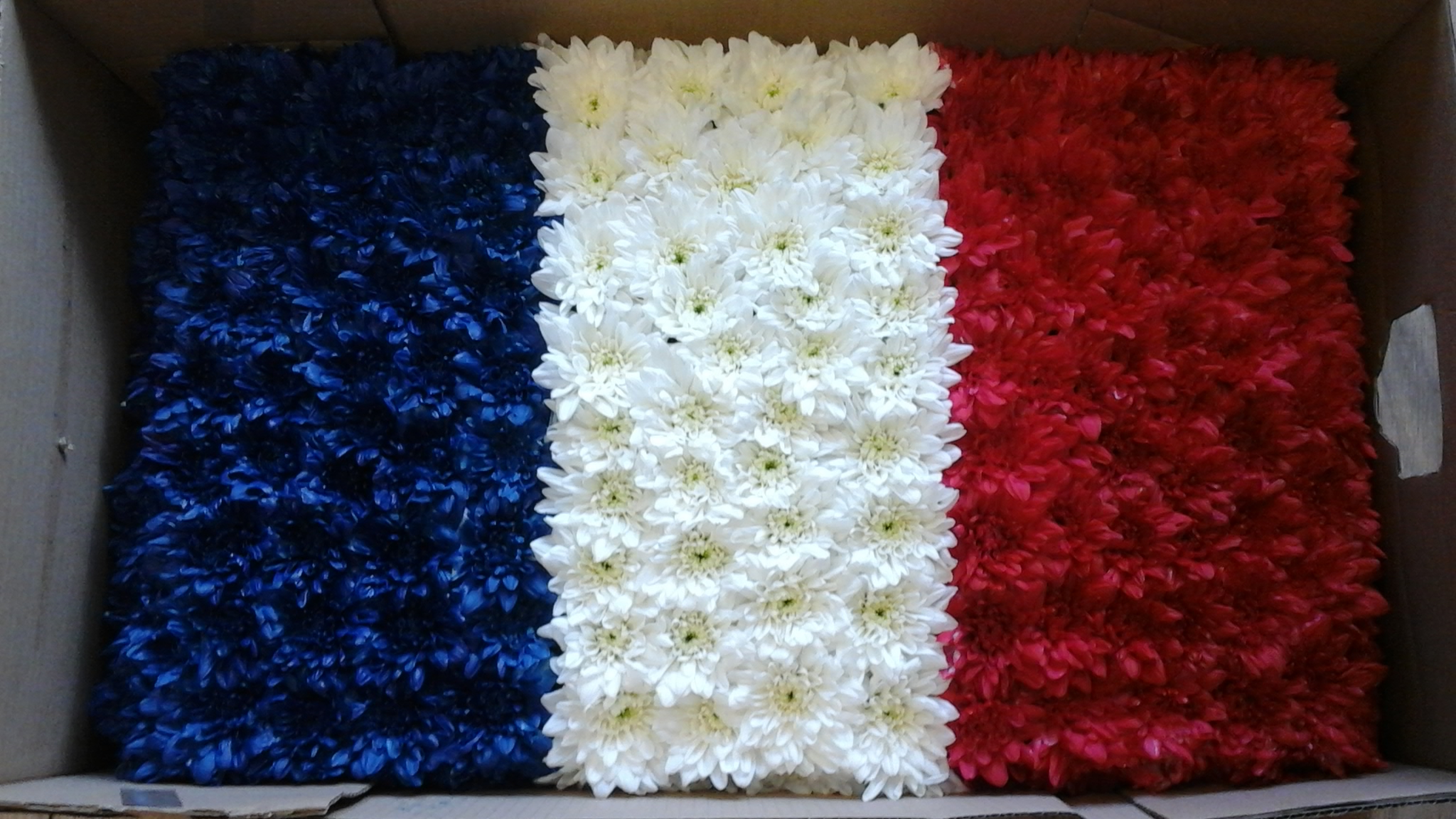 French flag floral tribute Bristol florist FRENCHFLAG