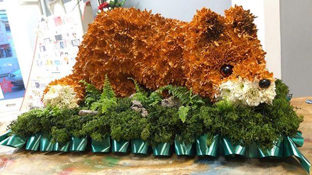 Fox funeral tribute Bristol florist FOX